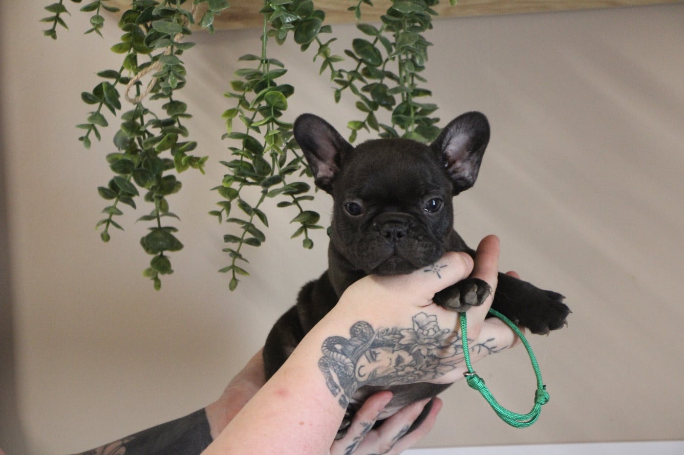 Collier vert