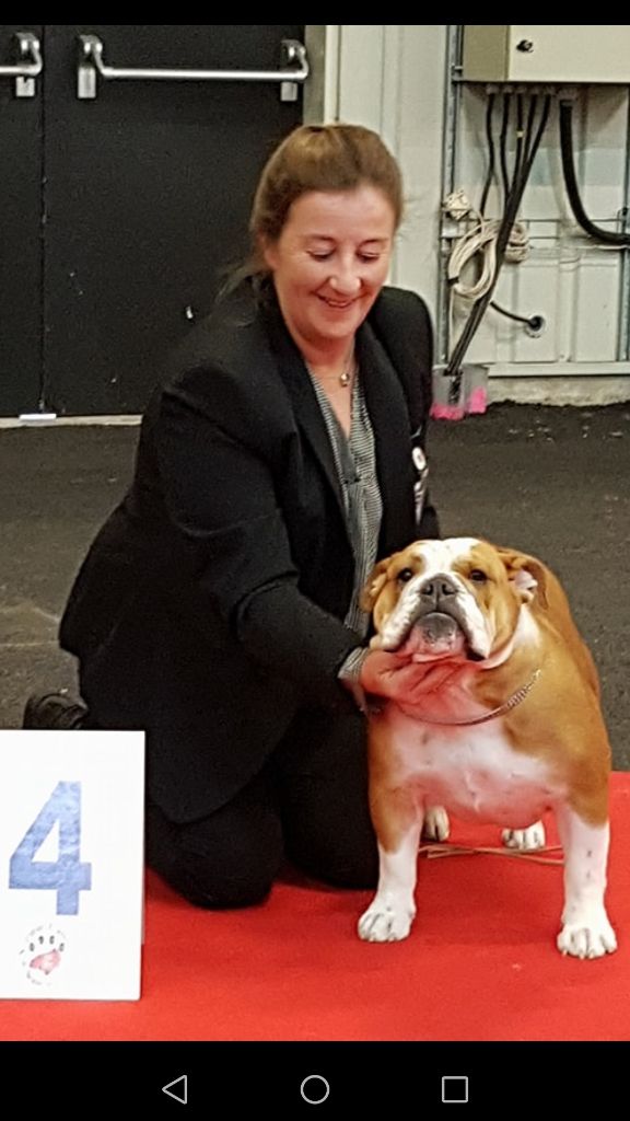 Molly Tan'rei Bulls - 4ème excellent