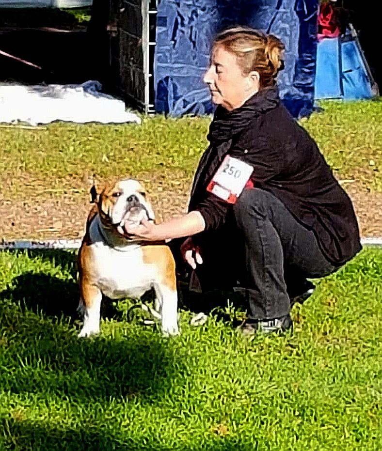 Molly Tan'rei Bulls - Très Bon