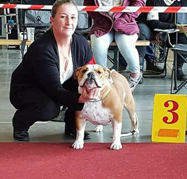 Molly Tan'rei Bulls - 3ème Excellent