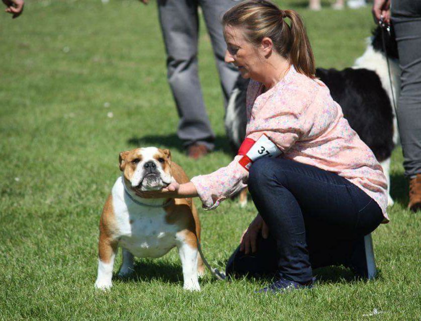 Molly Tan'rei Bulls - Prometteur