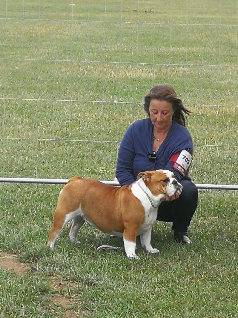 Molly Tan'rei Bulls - 2ème Excellent