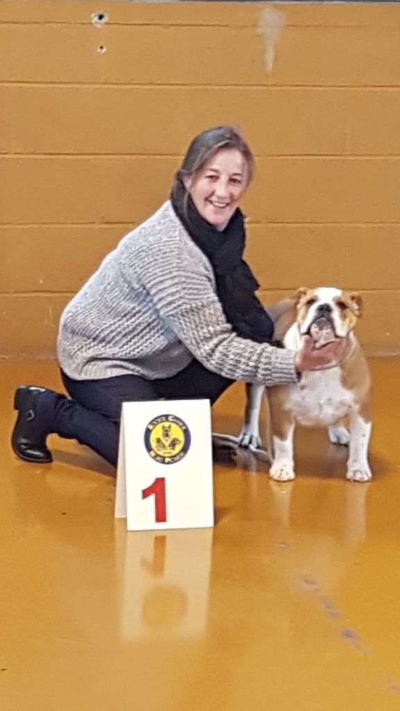 Molly Tan'rei Bulls - 1ère Très Prometteur - Meilleure de race Puppy