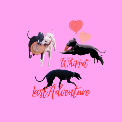 Last Adventure