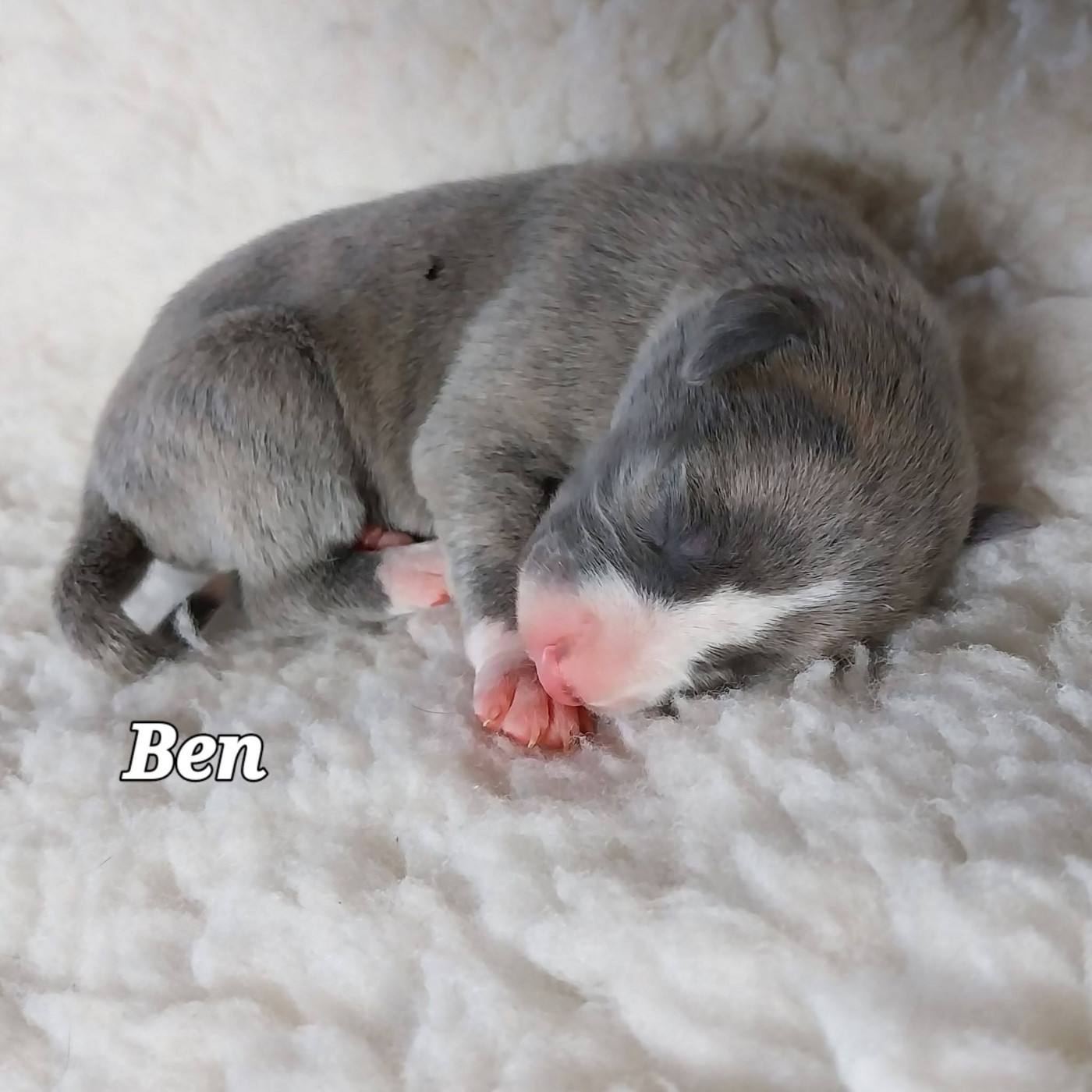 Ben