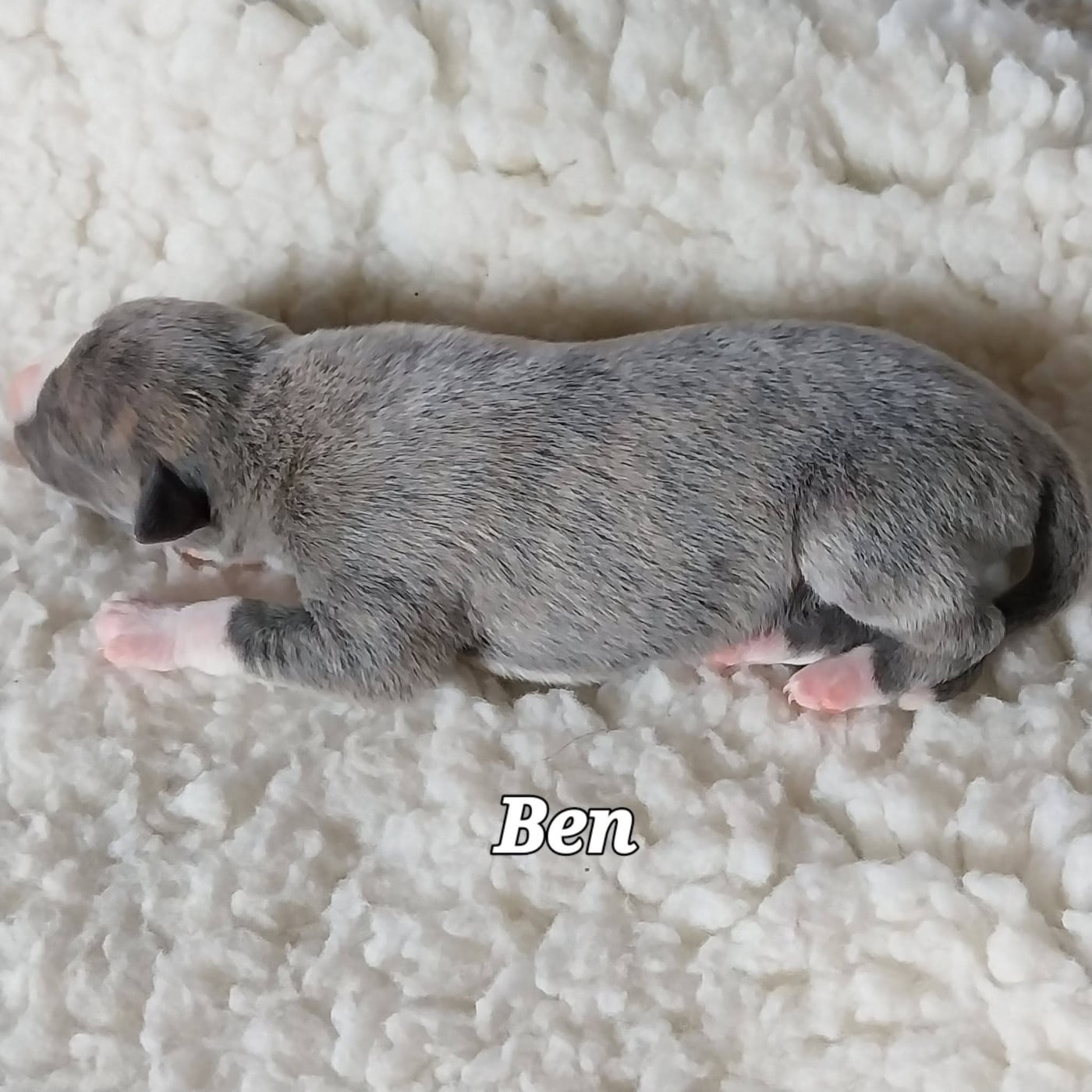Ben