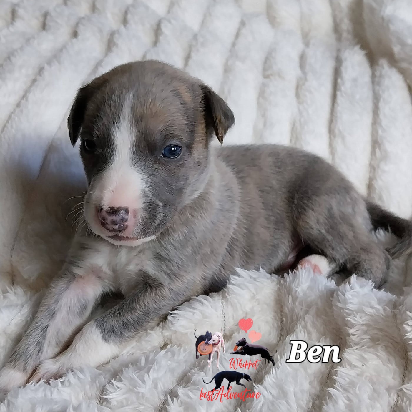 Ben