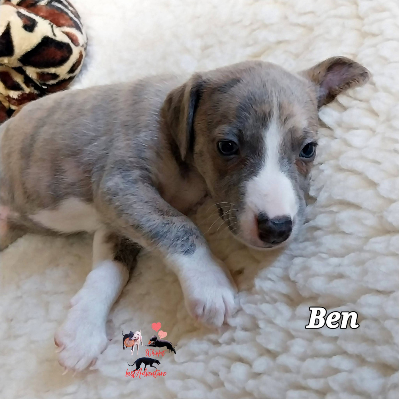 Ben