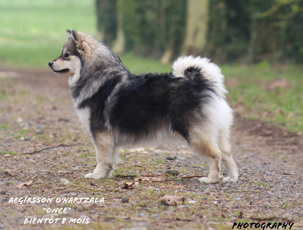 Accueil Elevage De La Contrée De