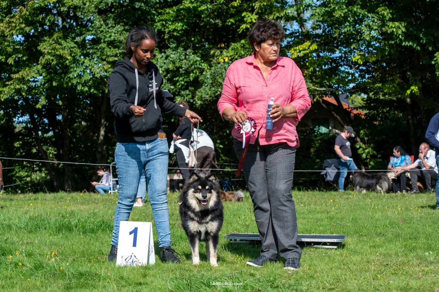 CH. Vvaouuuh in uk flora De La Contrée De Léonidas - 1er Très Prometteur - Meilleur Puppy - Réserve Best in Show