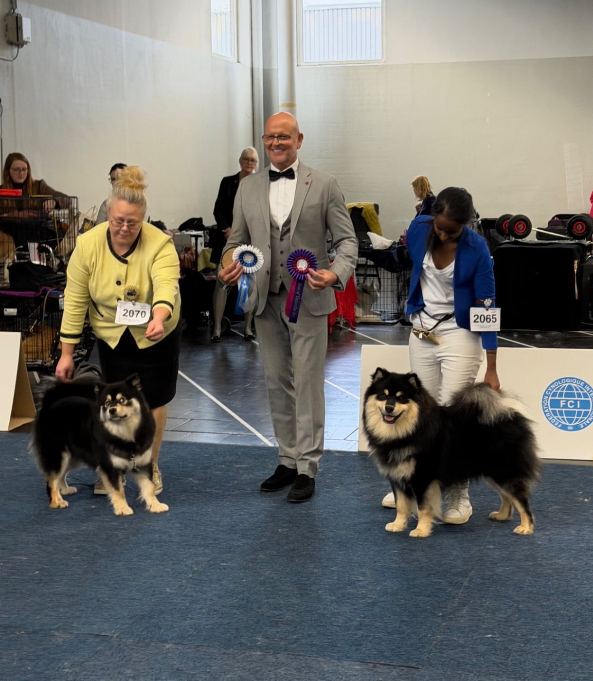 CH. VVaouuuh in Uk Riven De La Contrée De Léonidas - Classe Jeune : 1er Excellent - Anw. Dt. Jug. Ch. VDH - CACIBJ + Qualif Crufts - Meilleur Jeune (BOBJ) - Meilleur de Race (BOB)