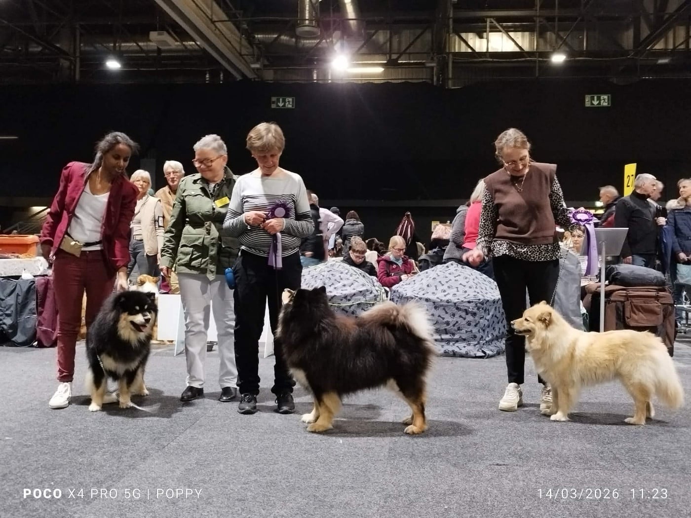 CH. VVaouuuh in Uk Riven De La Contrée De Léonidas - Classe Jeune : 1er Excellent CAC Club Anw.Dt.Ch.VDH. CACIBJ - BOBJ