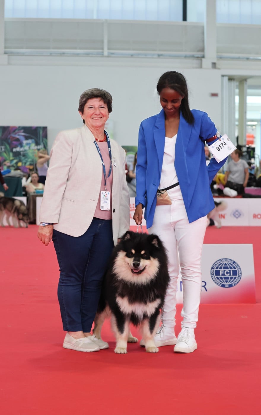 CH. VVaouuuh in Uk Riven De La Contrée De Léonidas - Classe Jeune : 1er Excellent JCAC - CACIBJ - Meilleur Jeune (BOBJ)