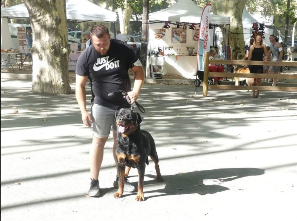 Rafal De La Force Des Mages Noirs - 2ieme EXC + RCACS