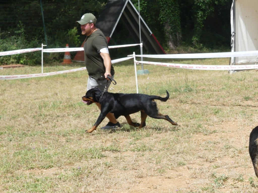 Vaika De La Force Des Mages Noirs - 2ieme TB + confirmation