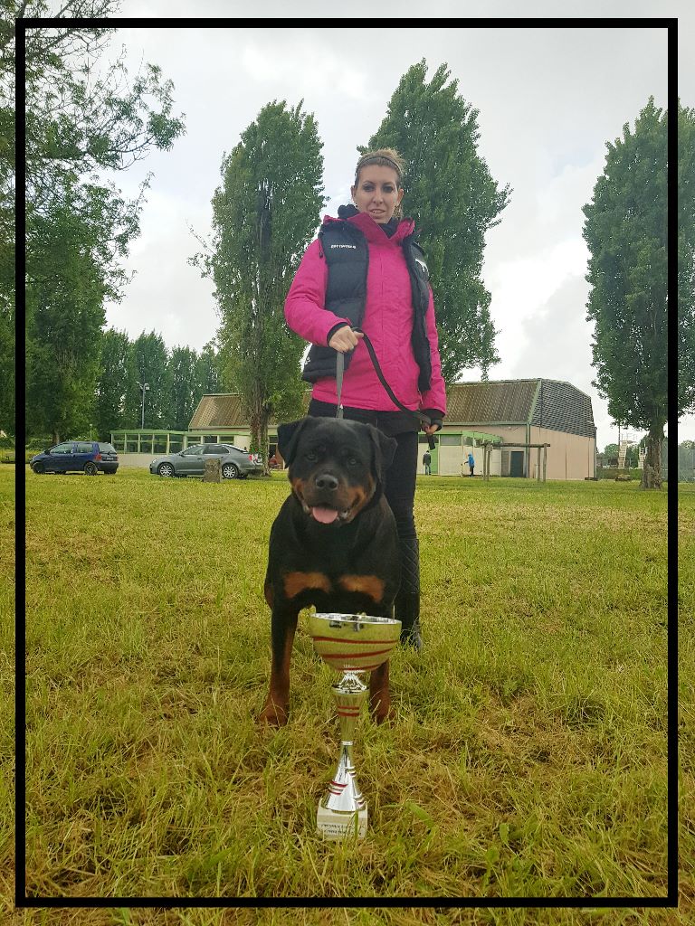 Mayla Des Flammes De La Nuit - 2ieme excellent