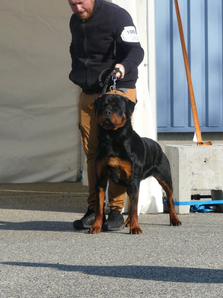 Rafal De La Force Des Mages Noirs - 2ieme exc