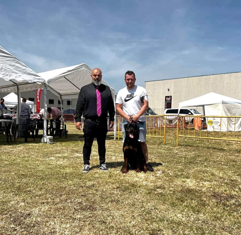 Rafal De La Force Des Mages Noirs - 1er exc + CACS