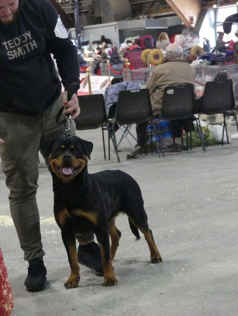 Vaika De La Force Des Mages Noirs - 2ieme très prometteur