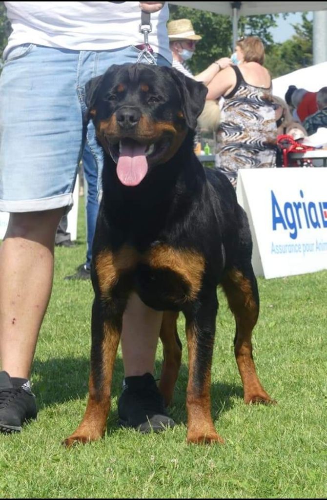 Rafal De La Force Des Mages Noirs - 2ieme exc