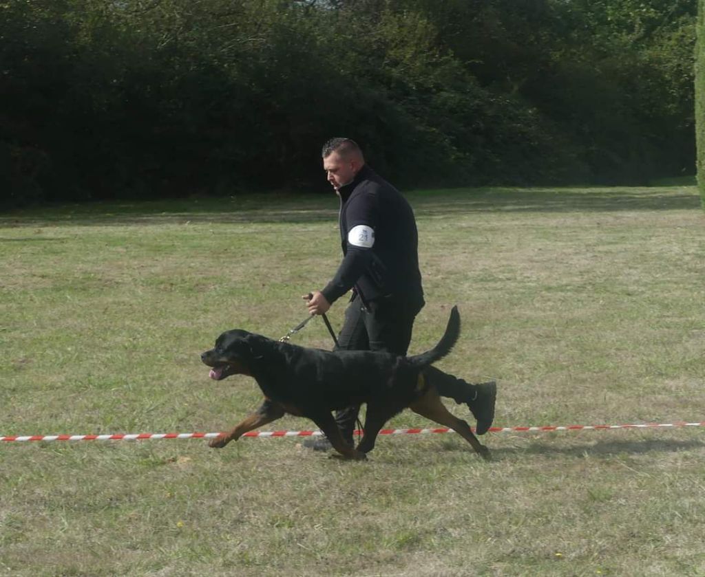 Rafal De La Force Des Mages Noirs - 3IEME EXC