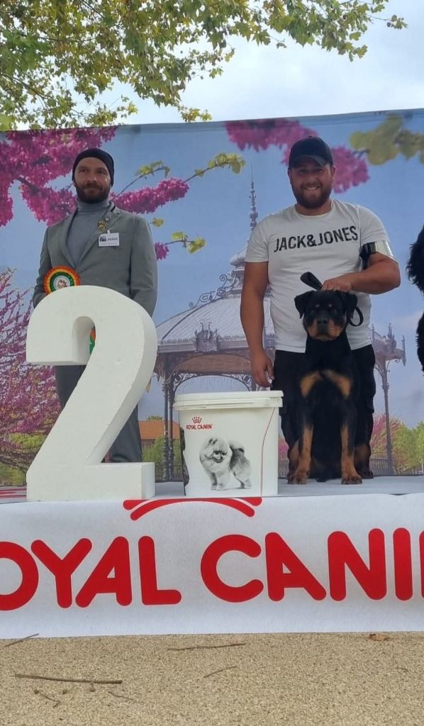 Vaika De La Force Des Mages Noirs - 1iere très prometteur + meilleur puppy + 2ieme du groupe 2 puppy