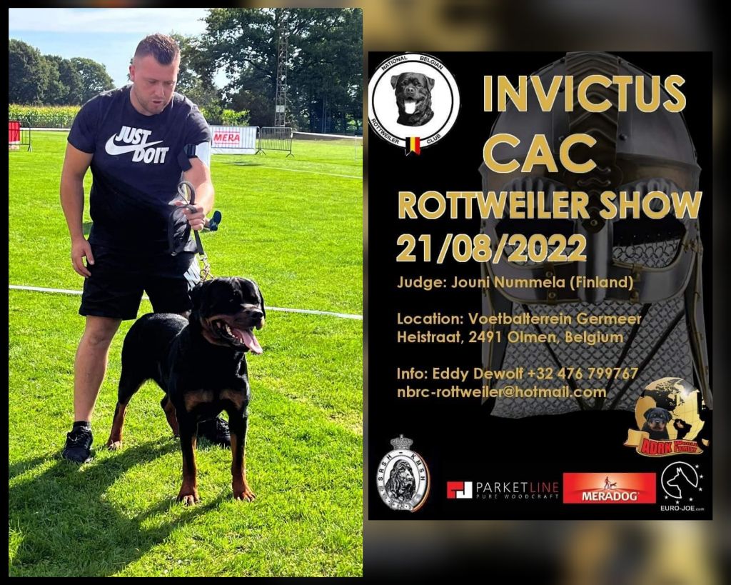 Rafal De La Force Des Mages Noirs - 3IEME EXC