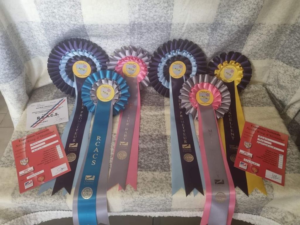 Rafal De La Force Des Mages Noirs - 1er exc