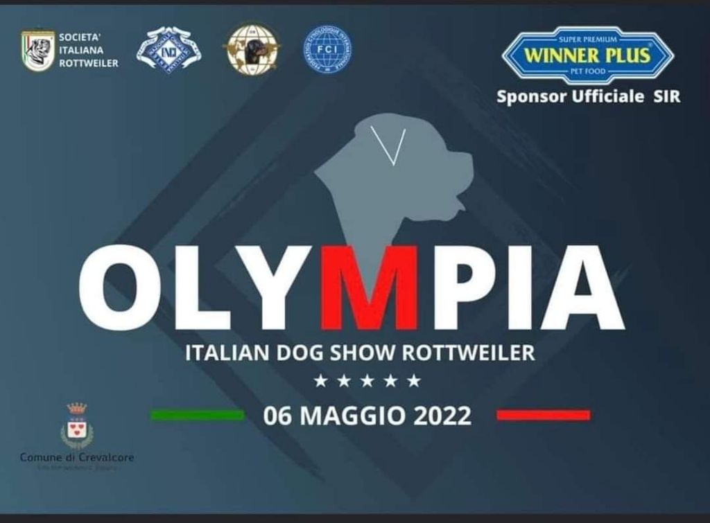 Rafal De La Force Des Mages Noirs - TRES BIEN -NC