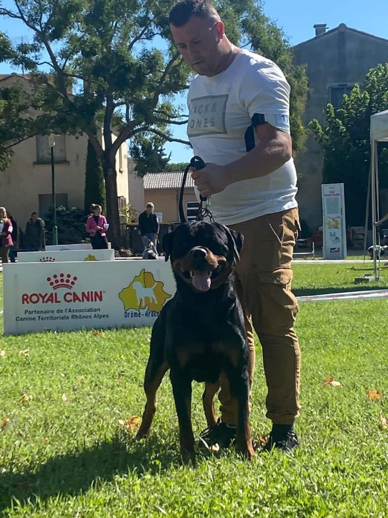 Rafal De La Force Des Mages Noirs - 1er exc