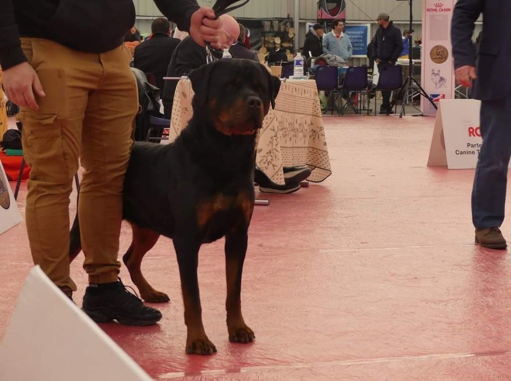 Rafal De La Force Des Mages Noirs - 3ieme EXC