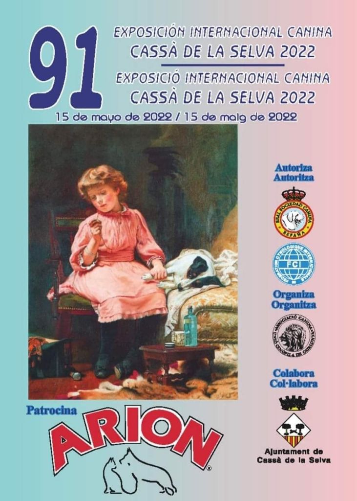 Rafal De La Force Des Mages Noirs - EXC