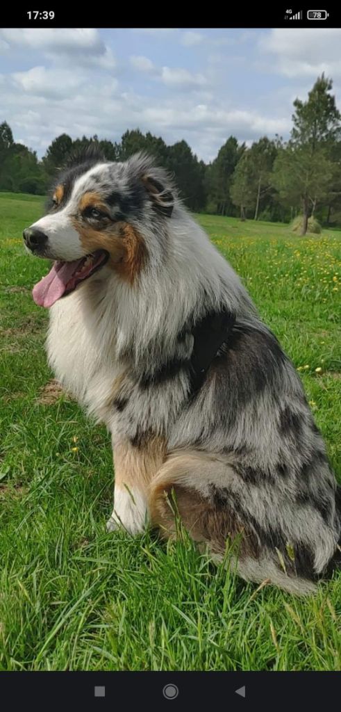 Publication : du Royaume de Congis