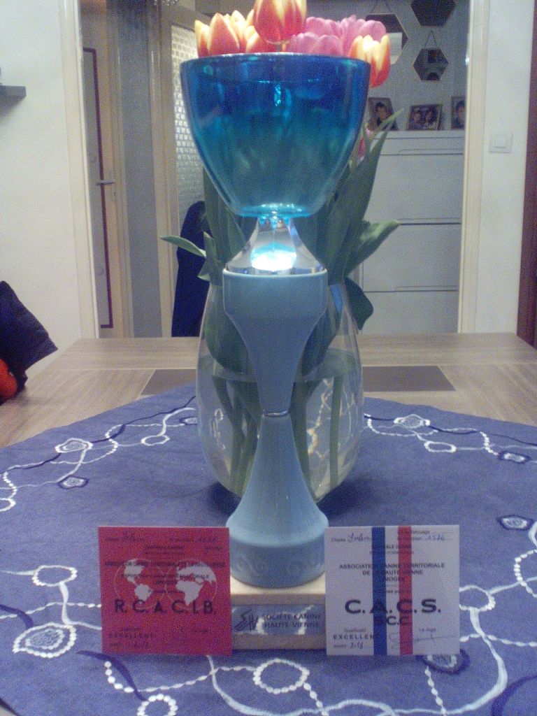 Publication : (Sans Affixe)