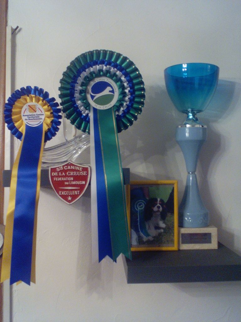 Publication : (Sans Affixe)