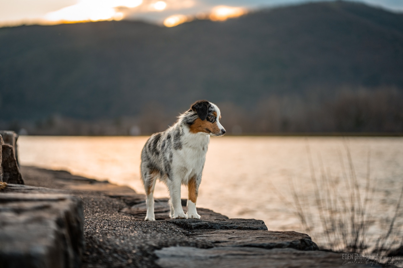 Publication : Of American Madness