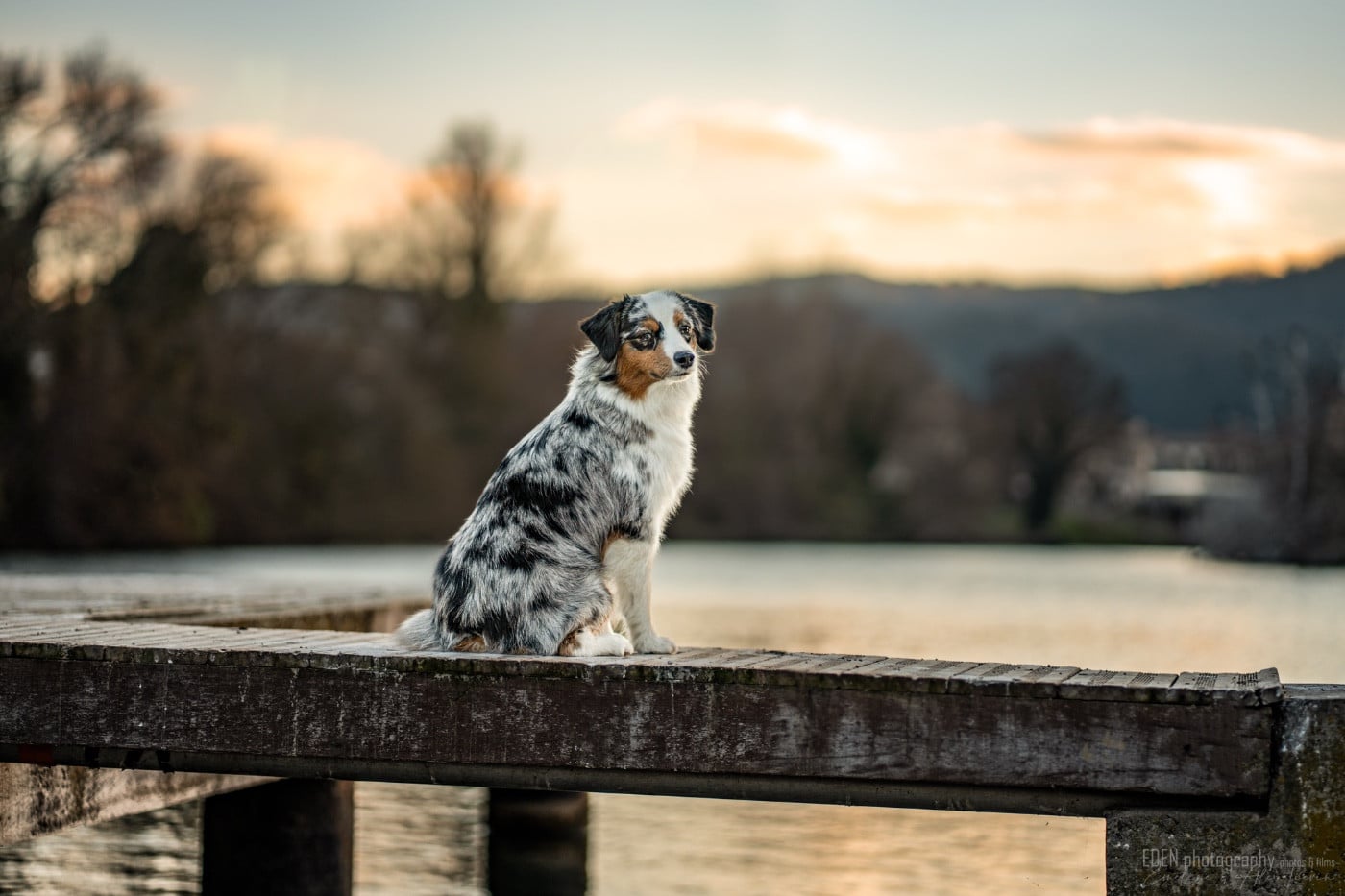 Publication : Of American Madness