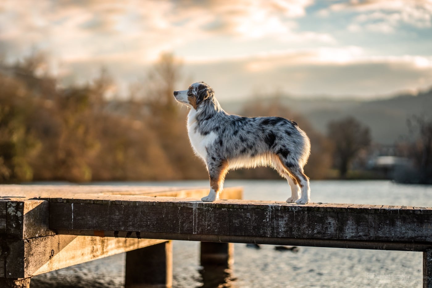 Publication : Of American Madness