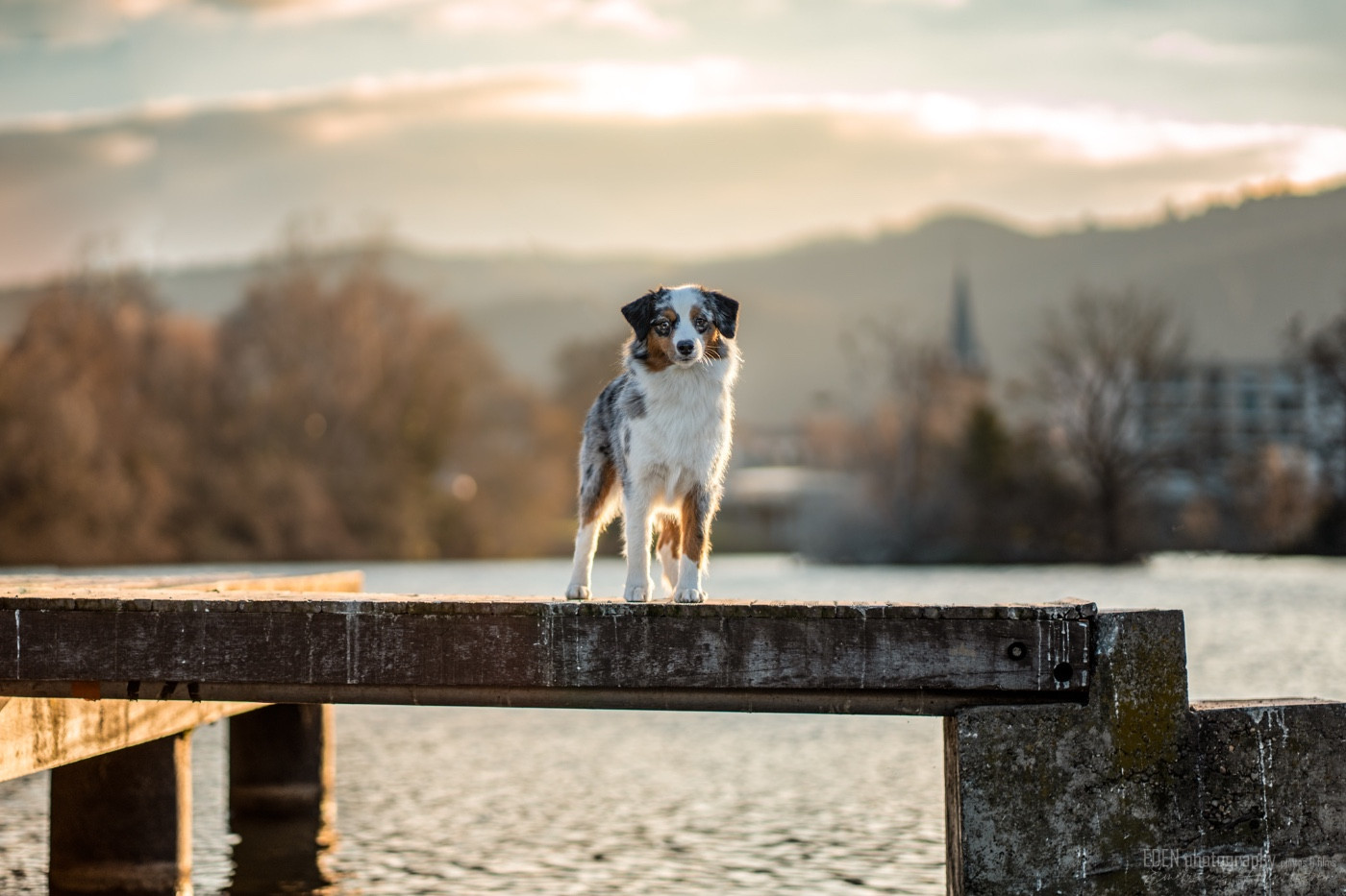 Publication : Of American Madness