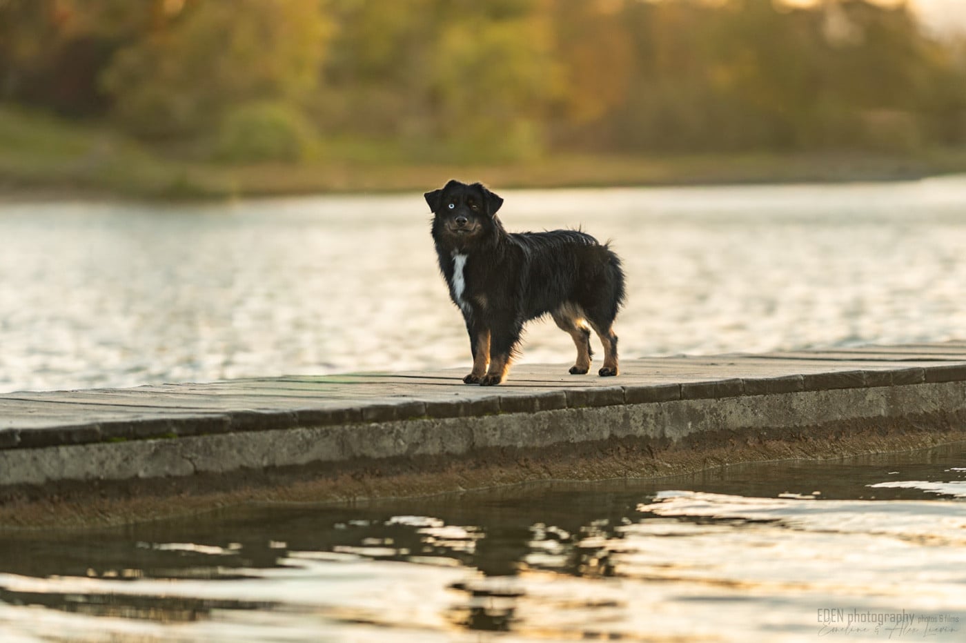 Publication : Of American Madness