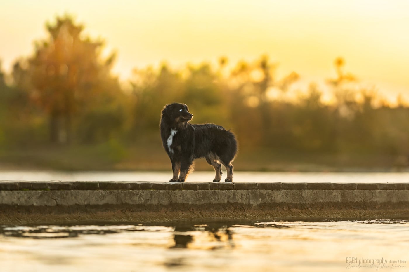 Publication : Of American Madness