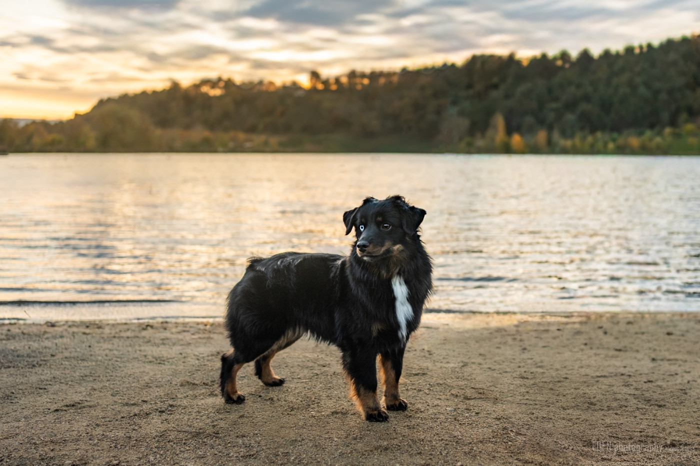 Publication : Of American Madness