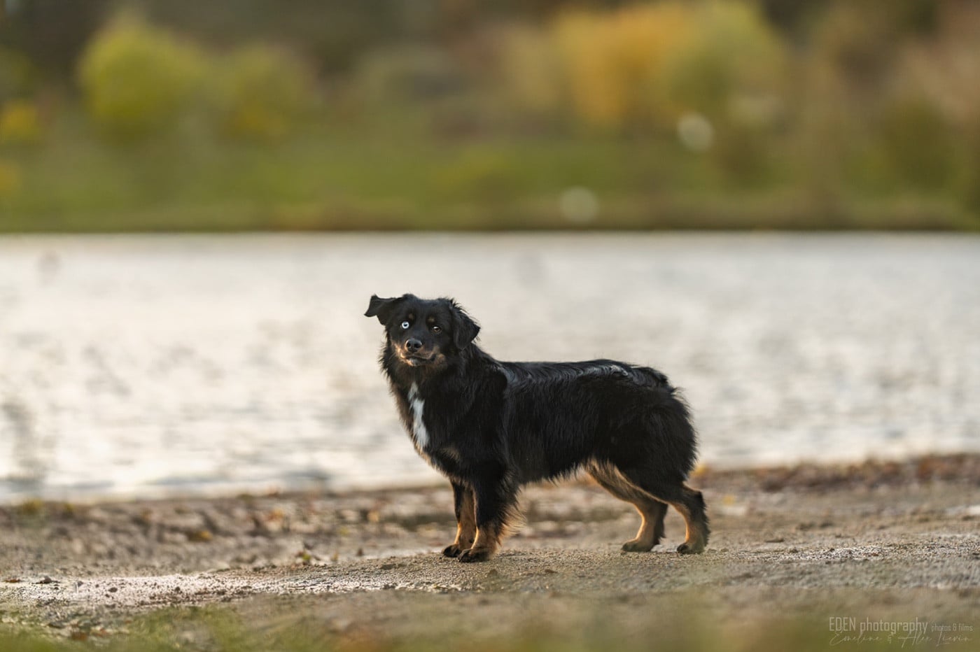 Publication : Of American Madness