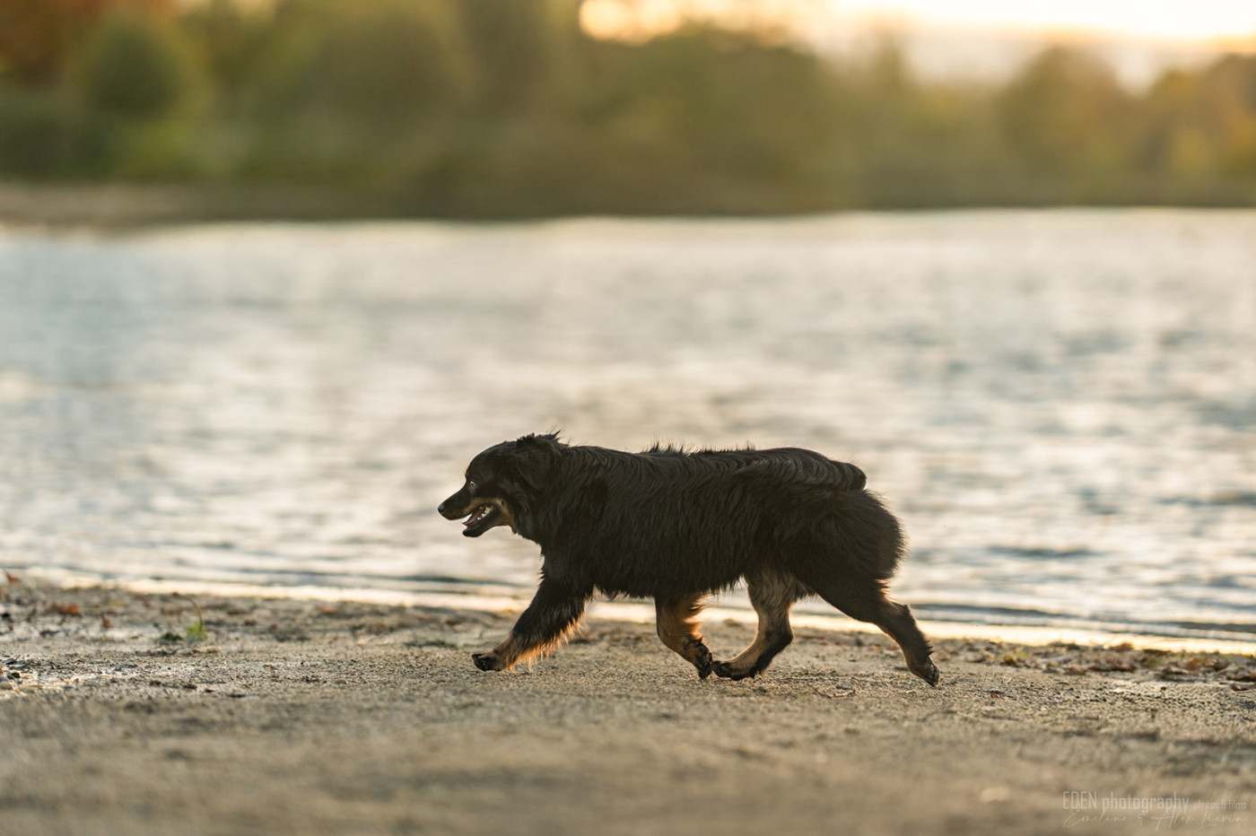 Publication : Of American Madness