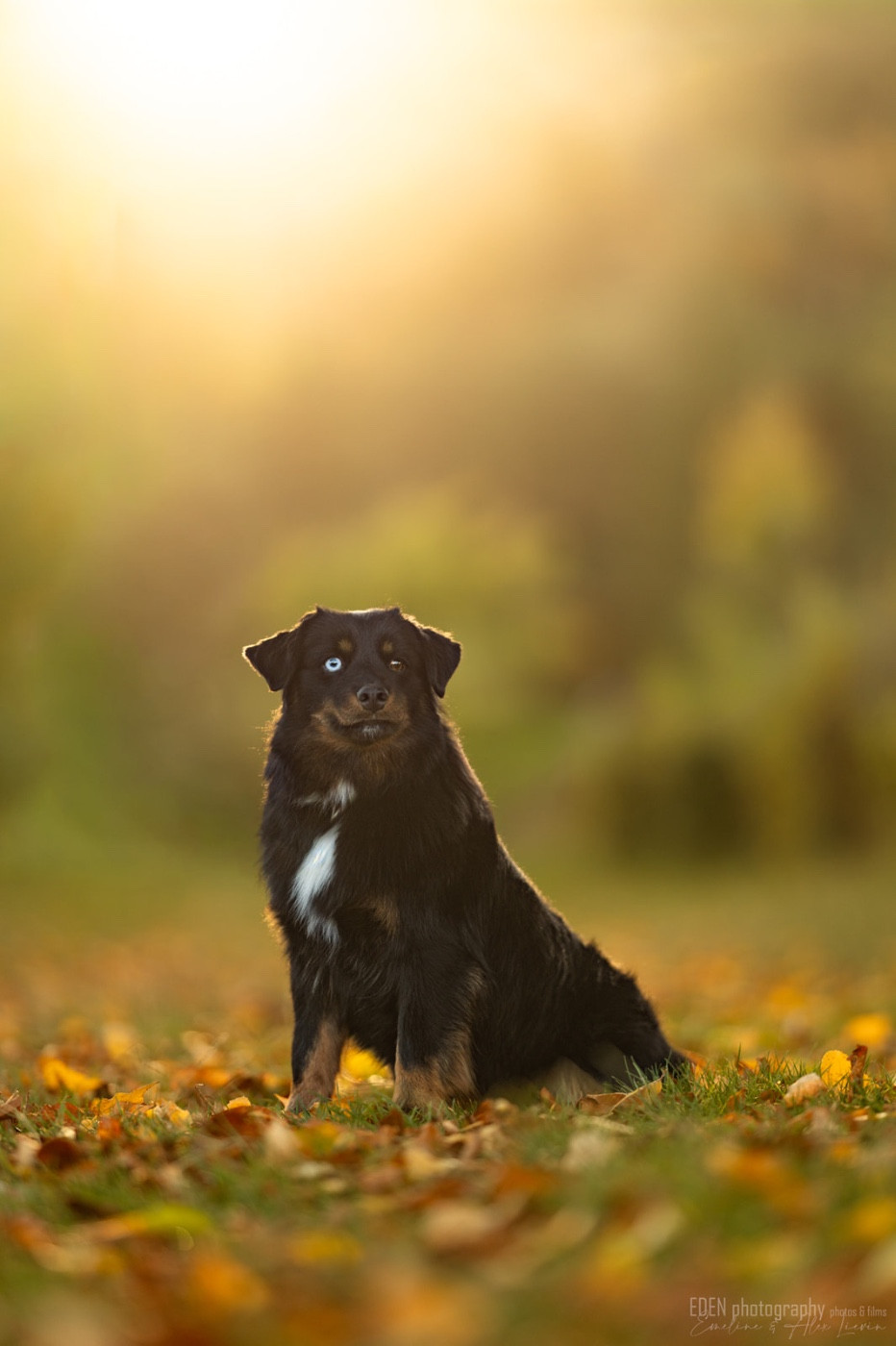 Publication : Of American Madness