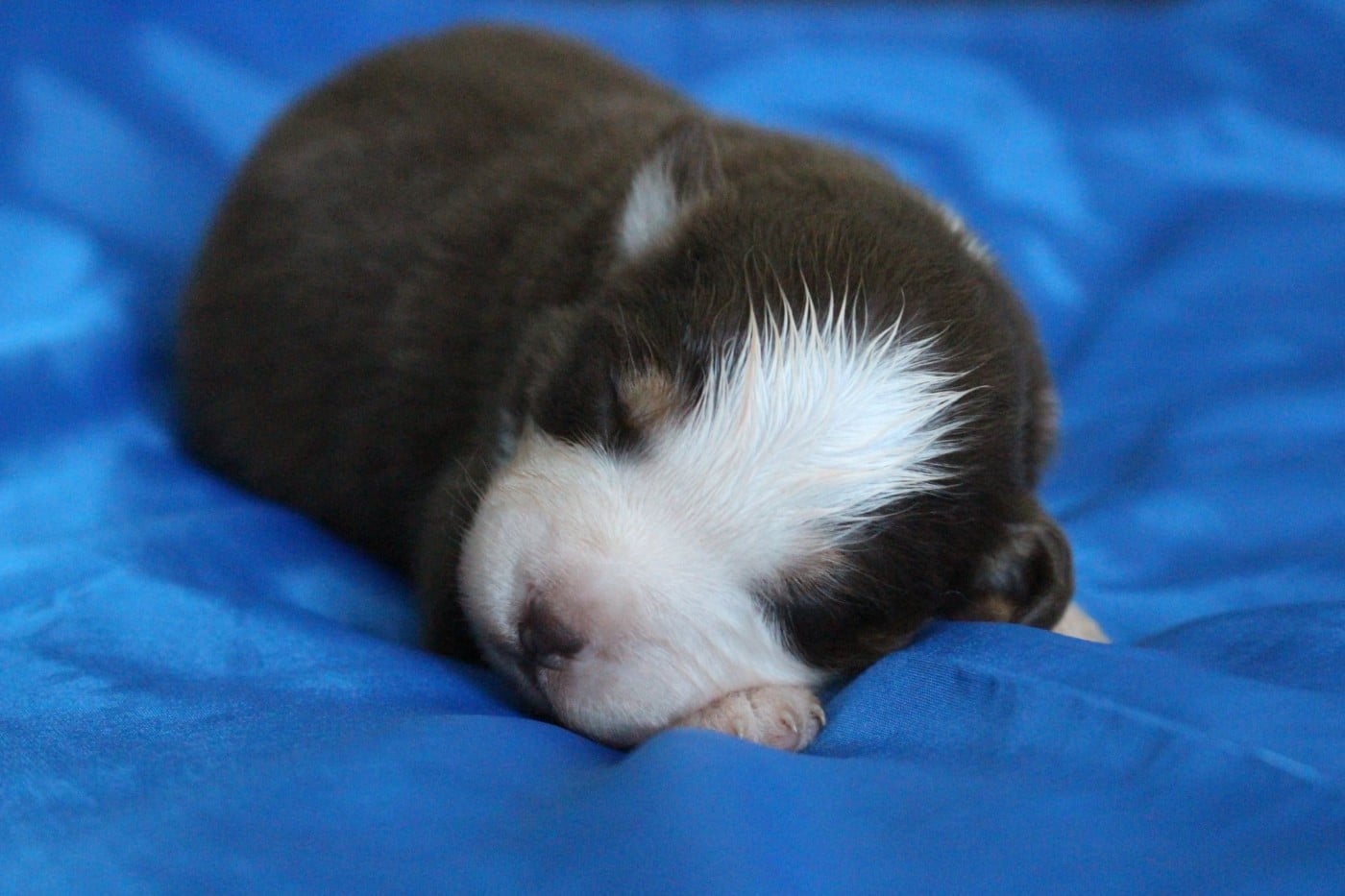 VOICE IN THE DARK Of Blue Highway