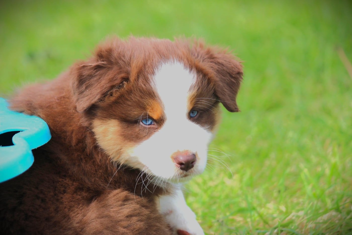 VOICE IN THE DARK Of Blue Highway