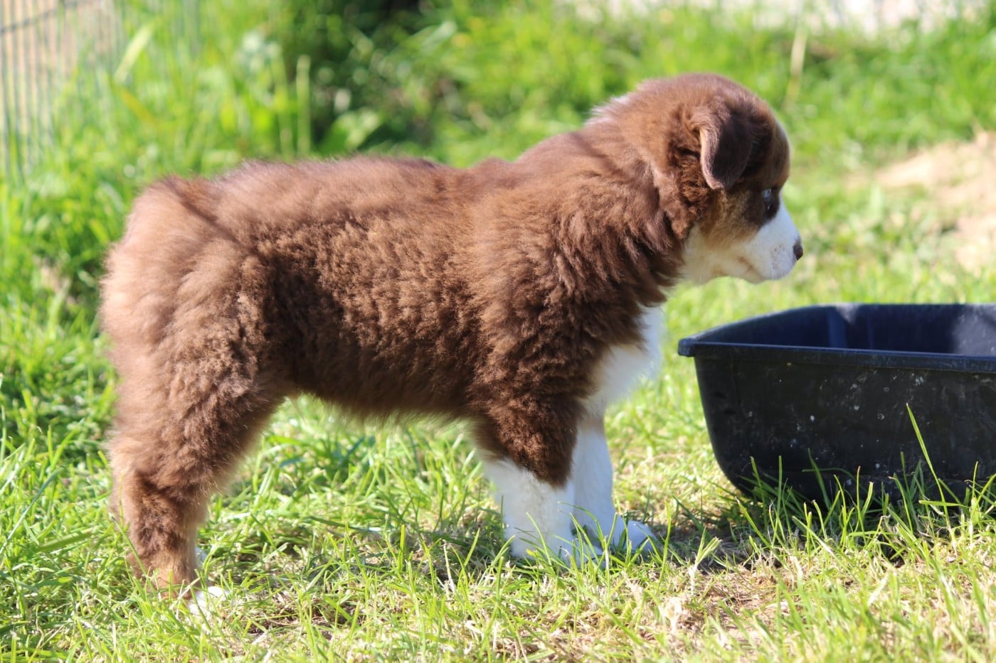 VOICE IN THE DARK Of Blue Highway