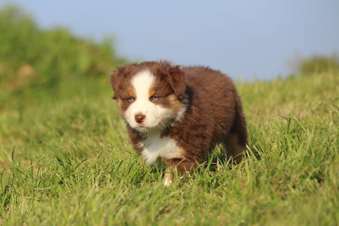 VOICE IN THE DARK Of Blue Highway