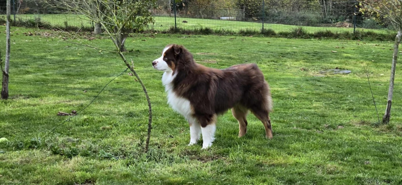 VOICE IN THE DARK Of Blue Highway